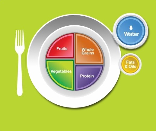 Nutrition Plate